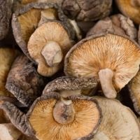 dehydrated-mushroom