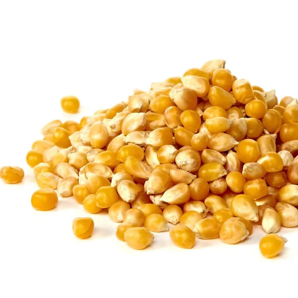Corn / Maize